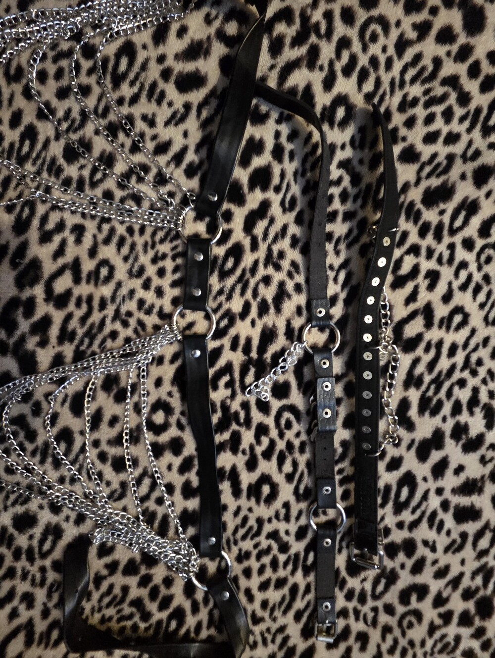 Chain Set - Picture 3 of 5